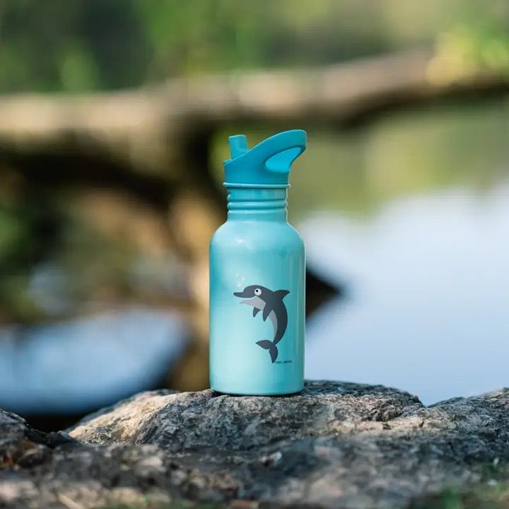 Carl Oscar Trinkflasche Steelish Blau Delfin 0,5 l Edelstahl - Sausebrause Shop