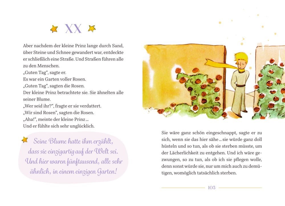 Das besondere Buch A. de Saint - Exupéry, Der kleine Prinz - Sausebrause Shop