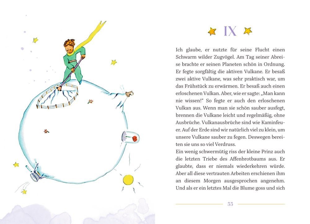 Das besondere Buch A. de Saint - Exupéry, Der kleine Prinz - Sausebrause Shop
