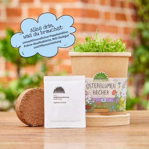 Die Stadtgärtner Blümchen aus dem Becher - Sausebrause Shop