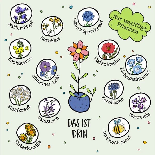 Die Stadtgärtner Blumenmurmeln im Pergaminbeutel Frühlingsgruß - Sausebrause Shop