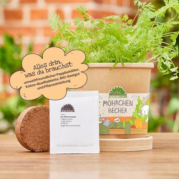 Die Stadtgärtner Möhrchen aus dem Becher Anzuchtset (BIO) - Sausebrause Shop