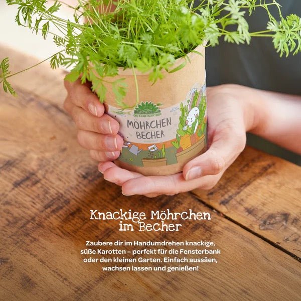 Die Stadtgärtner Möhrchen aus dem Becher Anzuchtset (BIO) - Sausebrause Shop