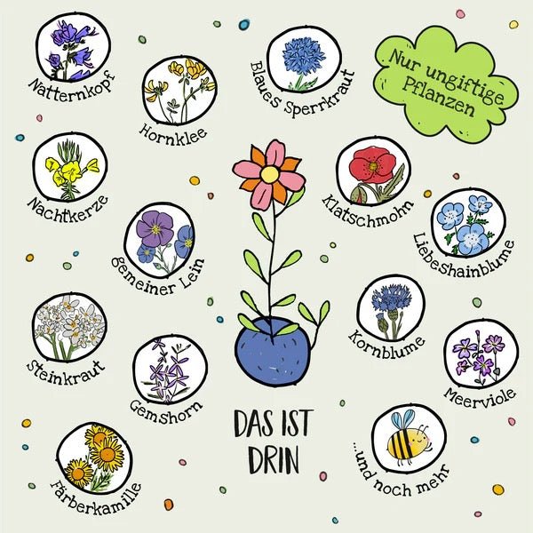 Die Stadtgärtner Osterblumen Blumenmurmeln 6 Stück in Pappschachtel - Sausebrause Shop