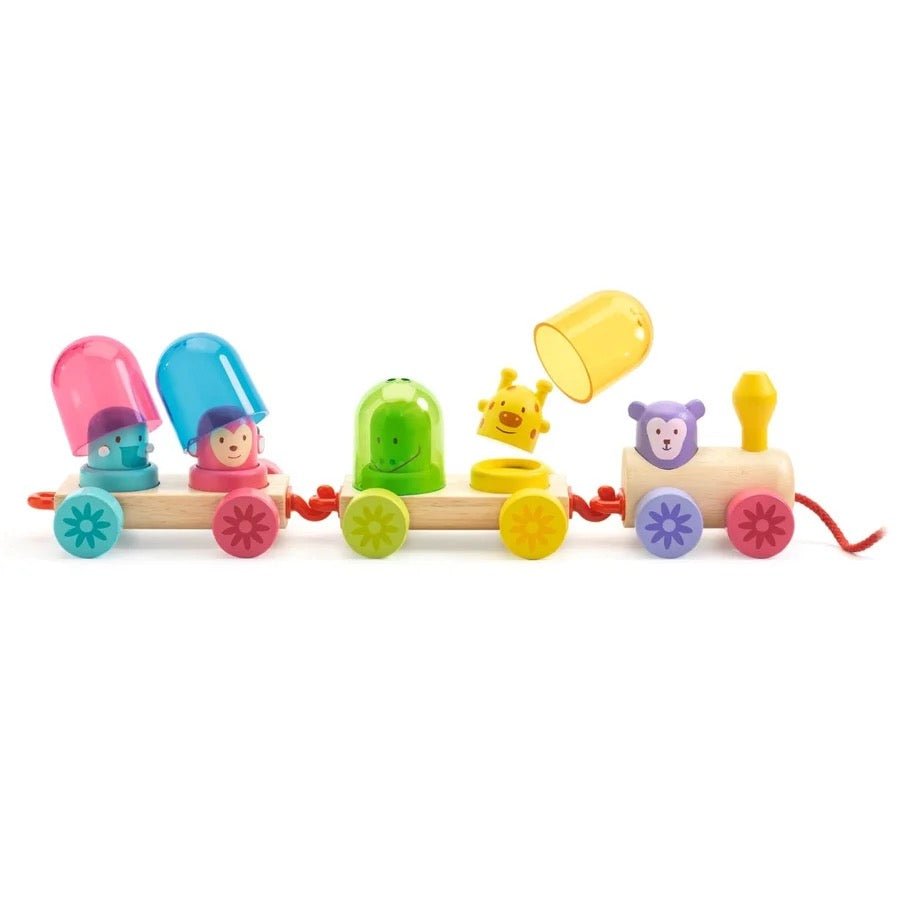 Djeco Nachziehspielzeug Regenbogenzug - Sausebrause Shop