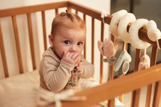 Jollein Lovely Birds Holz Regenmacher Babyspielzeug - Sausebrause Shop