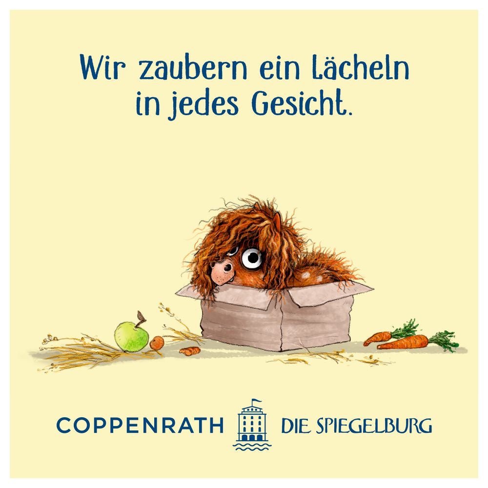 Kinderbuch Ronny, das Pony, und Gerd, das Pferd - Sausebrause Shop