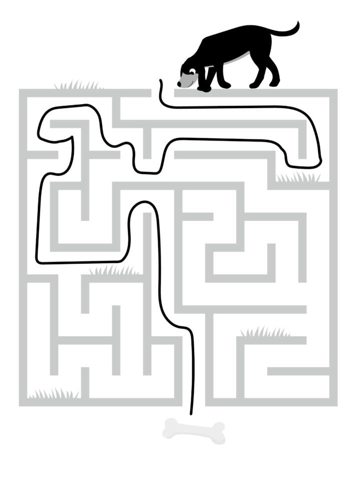 Mein kunterbunter Kindergartenblock Rätzsel ohne Text - Lieblingstiere - Sausebrause Shop