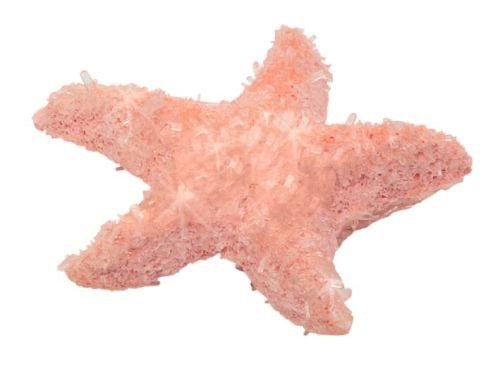 moses PhänoMINT Funkelnde Kristalltiere züchten - Sausebrause Shop