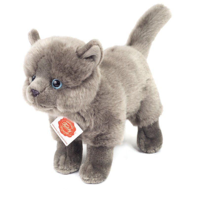 Teddy Hermann Karthäuserkatze stehend 20 cm - Sausebrause Shop