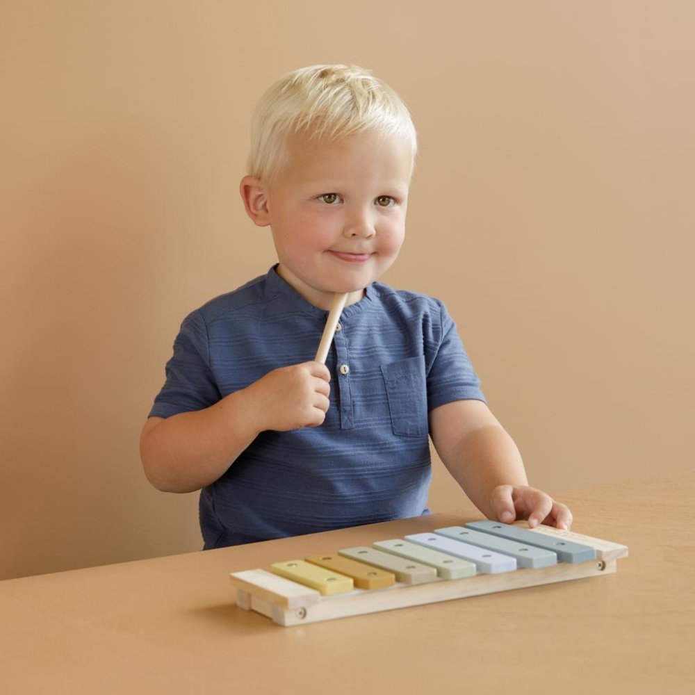 LITTLE DUTCH XYLOPHON BLAU - Sausebrause Shop